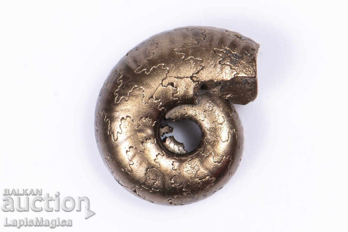 Pyritized Ammonite 1.16g 11.3mm #3 with price 24.00 BGN | € 12.27 Pyritized Ammonite 1.16g 11.3mm #3 with price 24.00 BGN | € 12.27