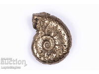 Pyritized Ammonite 1.83g 15.8mm #5