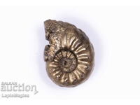 Pyritized Ammonite 1.59g 14.8mm #6