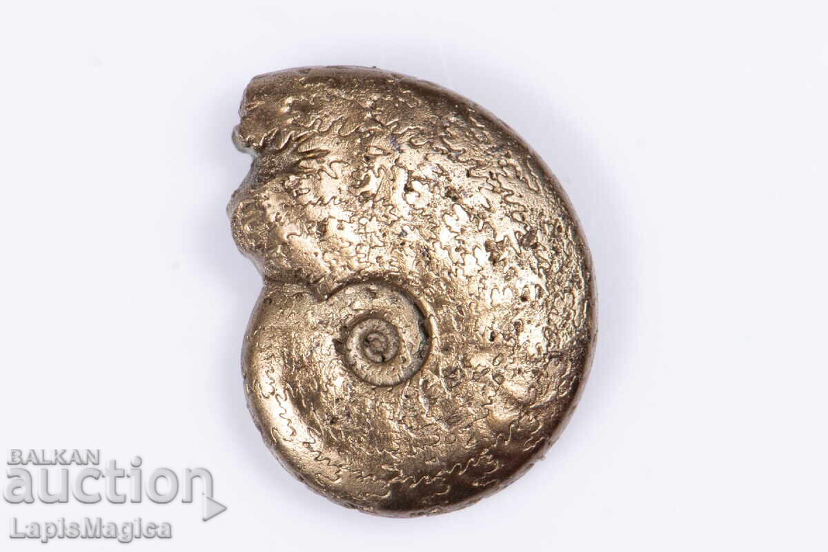 Pyritized Ammonite 1,78g 15,1mm #11