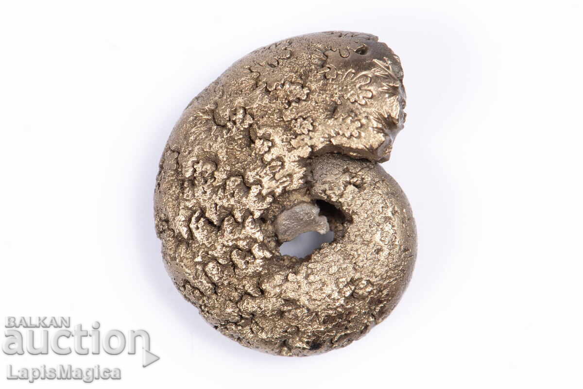 Pyritized Ammonite 3,4g 17,9mm #14 με τιμή 33.00 BGN | € 16.87 Pyritized Ammonite 3,4g 17,9mm #14 με τιμή 33.00 BGN | € 16.87