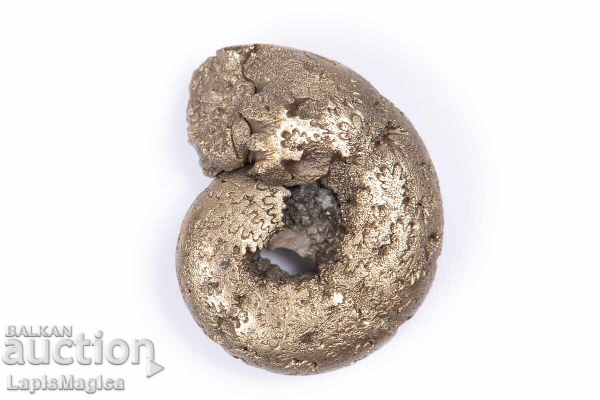 Pyritized Ammonite 3,4g 17,9mm #14