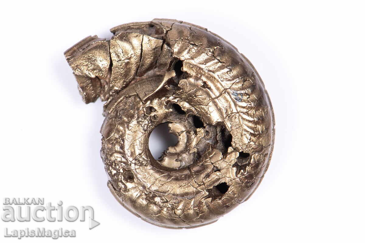 Pyritized Ammonite 5.38g 24.3mm #19 with price 38.00 BGN | € 19.43
