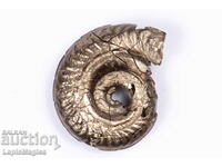 Pyritized Ammonite 5.38g 24.3mm #19