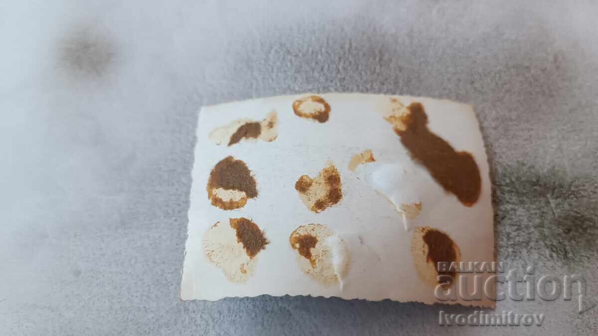 Photo: Soldiers naked to the waist with shovels with price 1.85 BGN | € 0.95 Photo: Soldiers naked to the waist with shovels with price 1.85 BGN | € 0.95