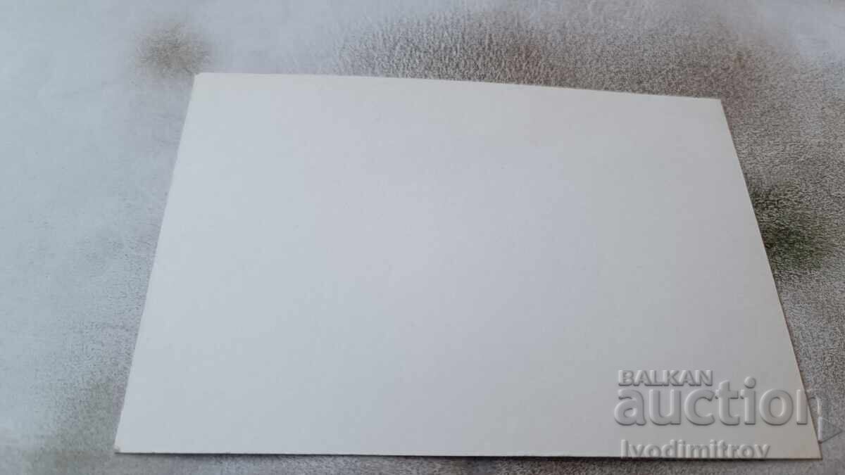 Postcard Saeva Cave with price 2.15 BGN | € 1.10 Postcard Saeva Cave with price 2.15 BGN | € 1.10