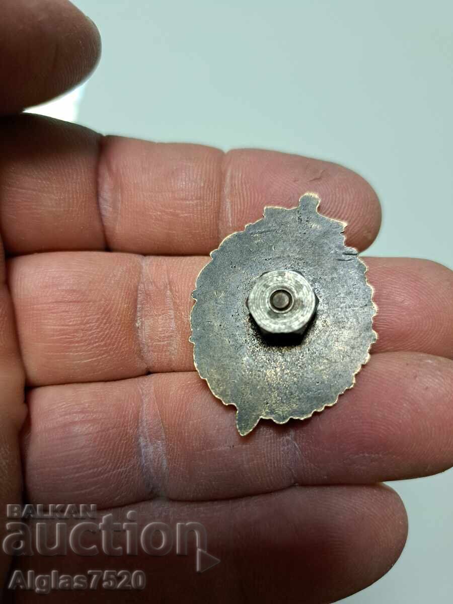 Insigna trupelor de frontieră cu preț 26.00 BGN | € 13.29