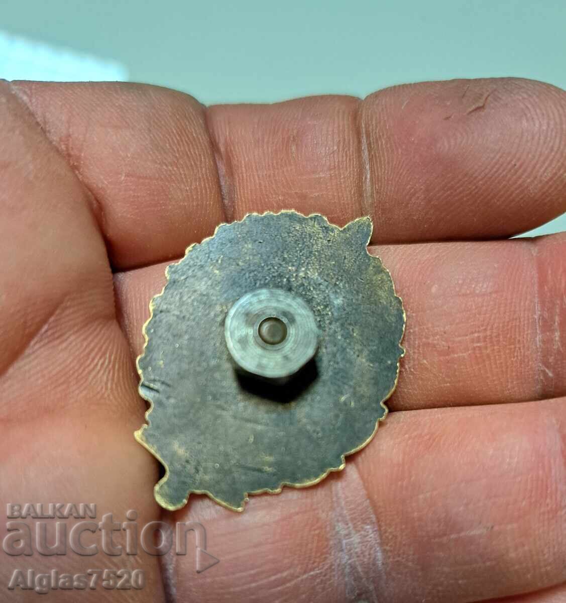 Licitație Insigna trupelor de frontieră