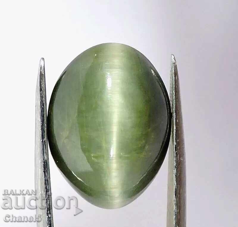 NATURAL CHRYSOBERYL 'CAT'S EYE' - 5.69 ct (478) with price 69.00 BGN | € 35.28