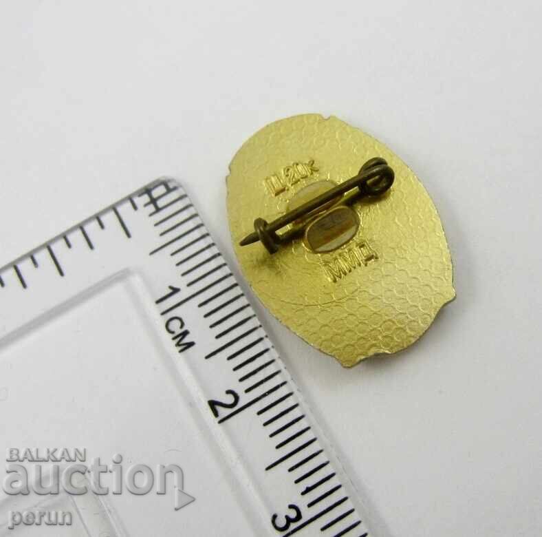 Auction  Moscow-Kremlin-Spasskaya Tower-Old badge-USSR