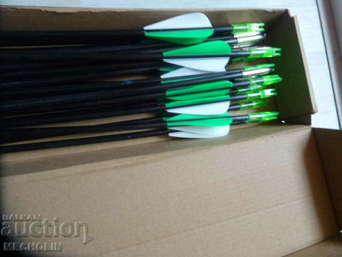 Licitație săgeți cu arc 24 bucăți - 2 Licitație săgeți cu arc 24 bucăți - 2