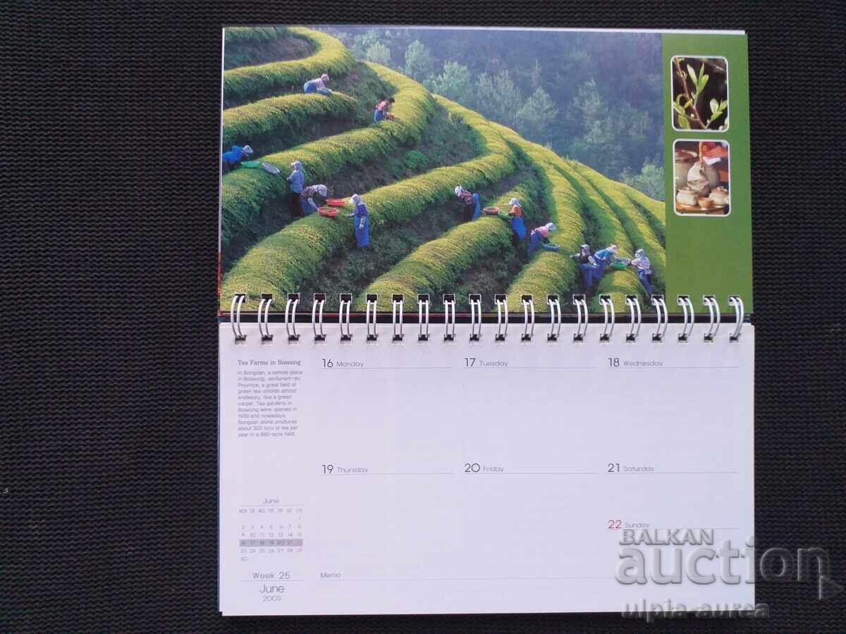 KOREA 2003 Calendar - 6