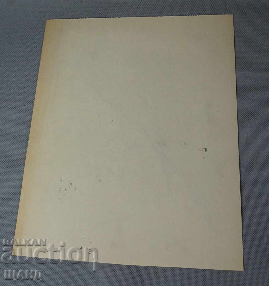 Old Master painting painting bird parrot with price 3.00 BGN | € 1.53 Old Master painting painting bird parrot with price 3.00 BGN | € 1.53