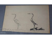 Old Master pencil drawing of a stork bird