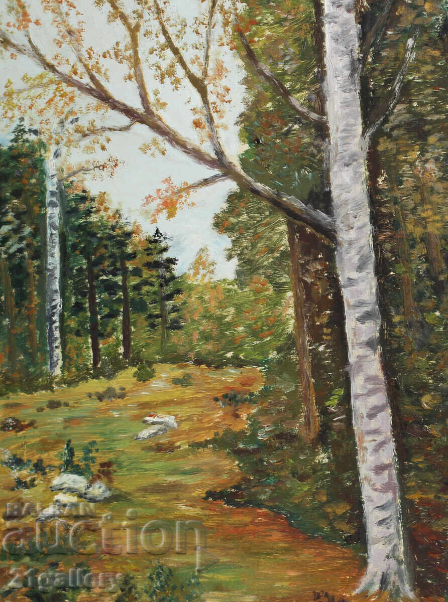 Oil painting /Forest landscape / signed with price 230.00 BGN | € 117.60 Oil painting /Forest landscape / signed with price 230.00 BGN | € 117.60