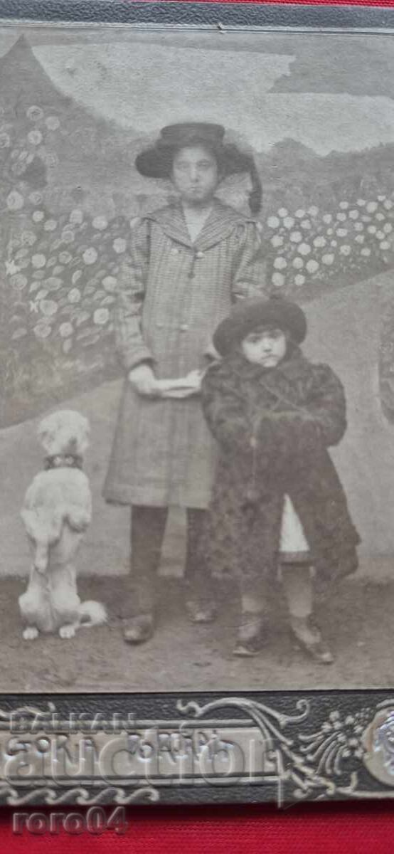 Licitație COPII - CAINE - CARTON