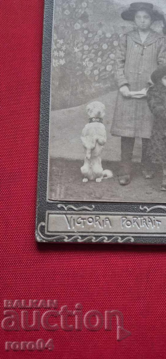 Livrarea COPII - CAINE - CARTON
