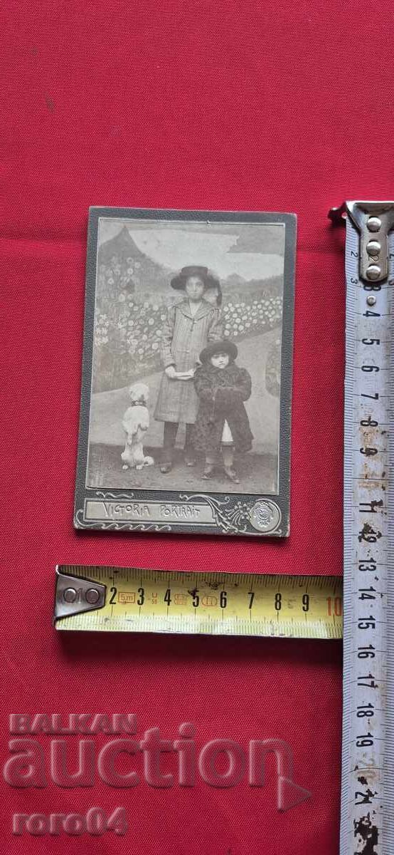 ΠΑΙΔΙΑ - ΣΚΥΛΟΣ - ΧΑΡΤΟΝΙ - 5 ΠΑΙΔΙΑ - ΣΚΥΛΟΣ - ΧΑΡΤΟΝΙ - 5