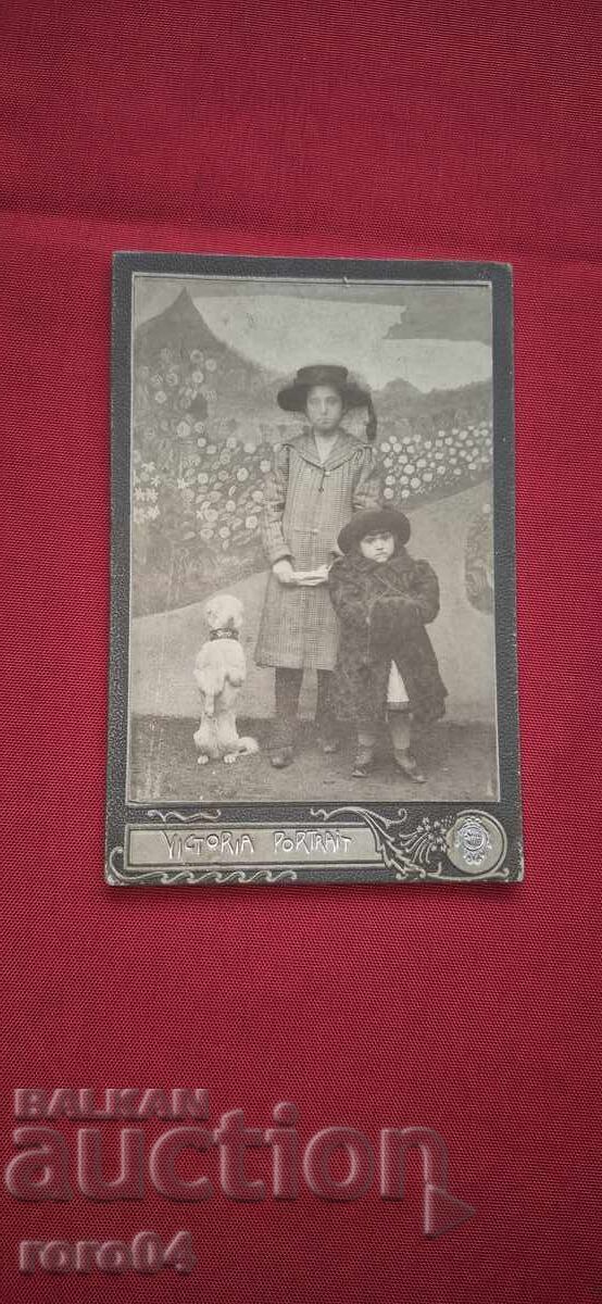 ΠΑΙΔΙΑ - ΣΚΥΛΟΣ - ΧΑΡΤΟΝΙ - 7 ΠΑΙΔΙΑ - ΣΚΥΛΟΣ - ΧΑΡΤΟΝΙ - 7