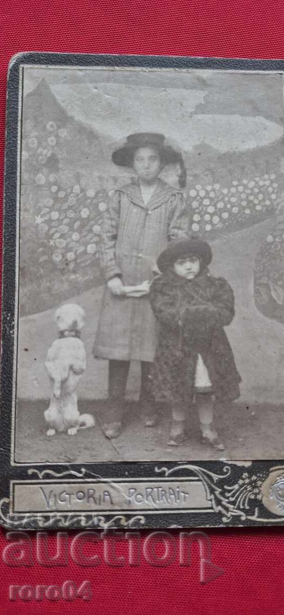 Δημοπρασία ΠΑΙΔΙΑ - ΣΚΥΛΟΣ - ΧΑΡΤΟΝΙ Δημοπρασία ΠΑΙΔΙΑ - ΣΚΥΛΟΣ - ΧΑΡΤΟΝΙ