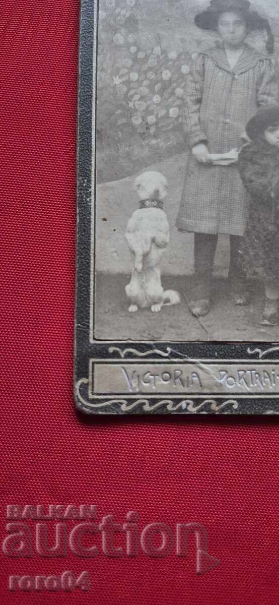 Delivery of CHILDREN - DOG - CARDBOARD Delivery of CHILDREN - DOG - CARDBOARD