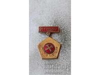 Badge 25 years Rare Metals