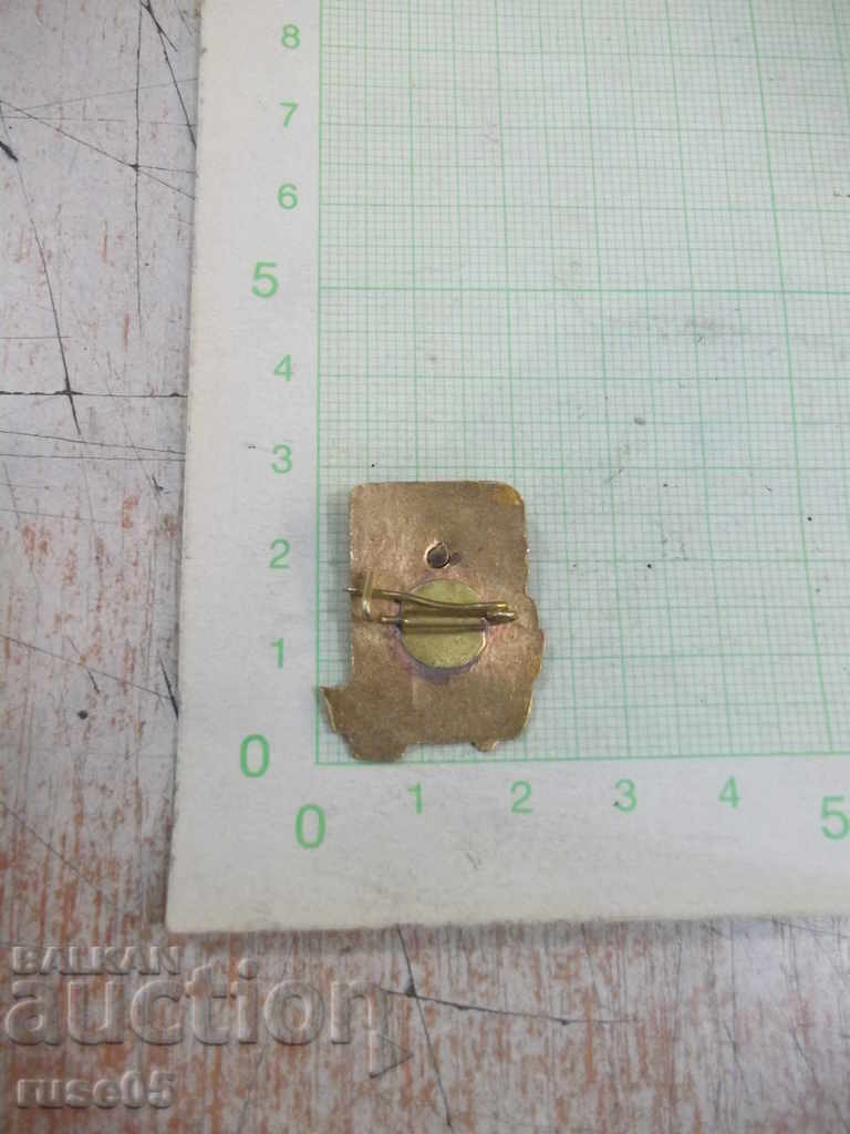 Badge "DKMS - Hr. Botyov" with price 5.00 BGN | € 2.56 Badge "DKMS - Hr. Botyov" with price 5.00 BGN | € 2.56