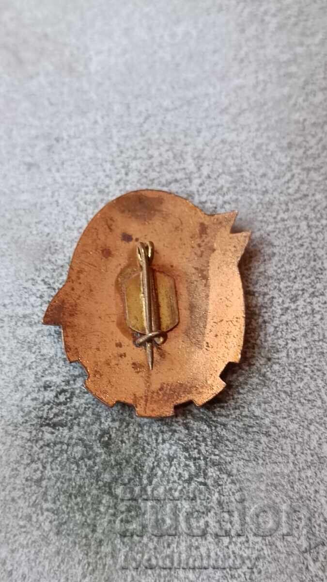 Значка Fruntas in Munca Patriotica с цена 3.85 лв. | € 1.97 Значка Fruntas in Munca Patriotica с цена 3.85 лв. | € 1.97