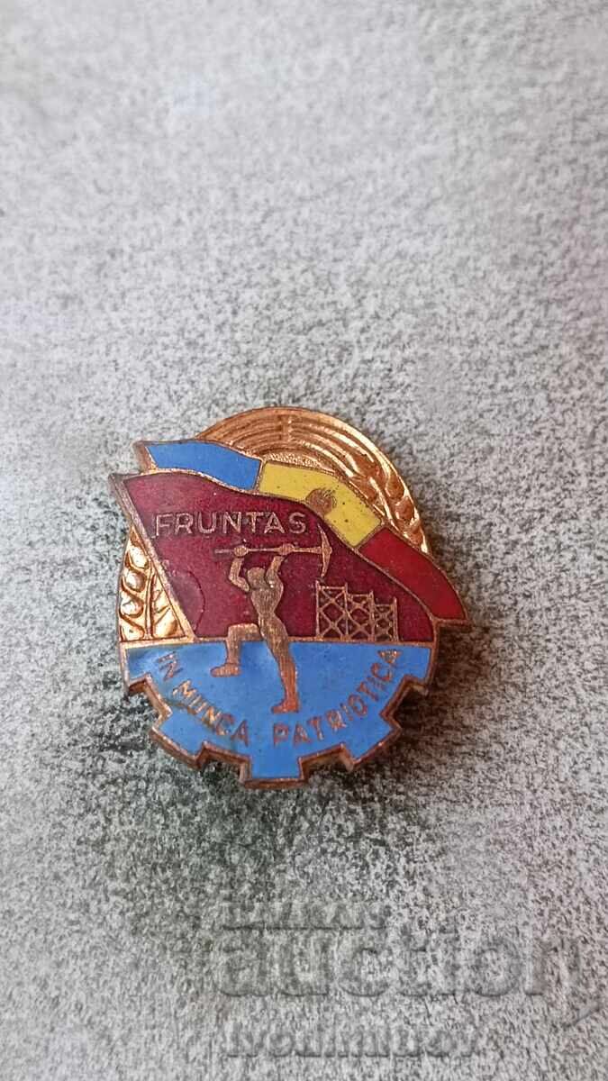 Insigna Fruntas in Munca Patriotica