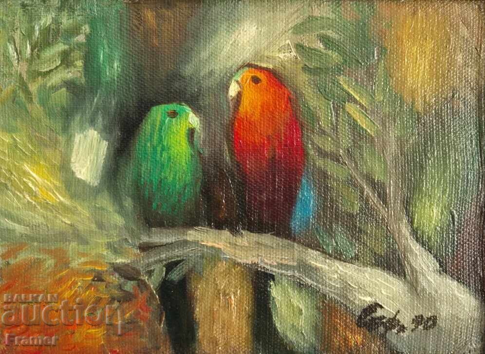 Suli Seferov Two Parrots 1990 early oil painting with price 1590.00 BGN | € 812.95 Suli Seferov Two Parrots 1990 early oil painting with price 1590.00 BGN | € 812.95