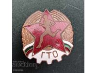 Badge GTO Ready for Labor and Defense screw and number