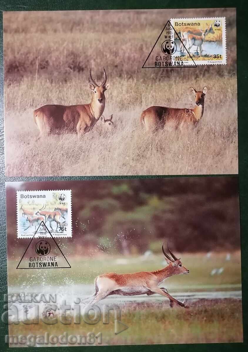 Botswana - WWF, lechwe antelope with price 8.00 BGN | € 4.09 Botswana - WWF, lechwe antelope with price 8.00 BGN | € 4.09