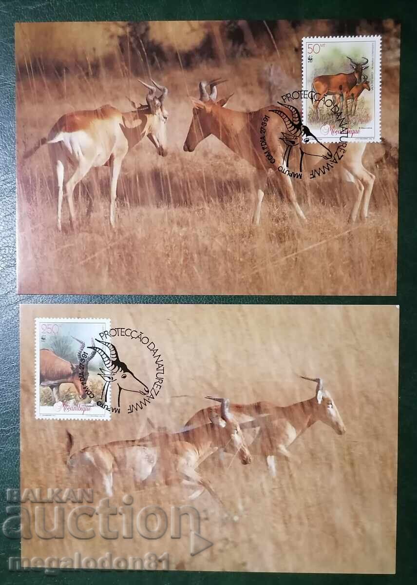 Mozambique - WWF, antelope with price 8.00 BGN | € 4.09 Mozambique - WWF, antelope with price 8.00 BGN | € 4.09