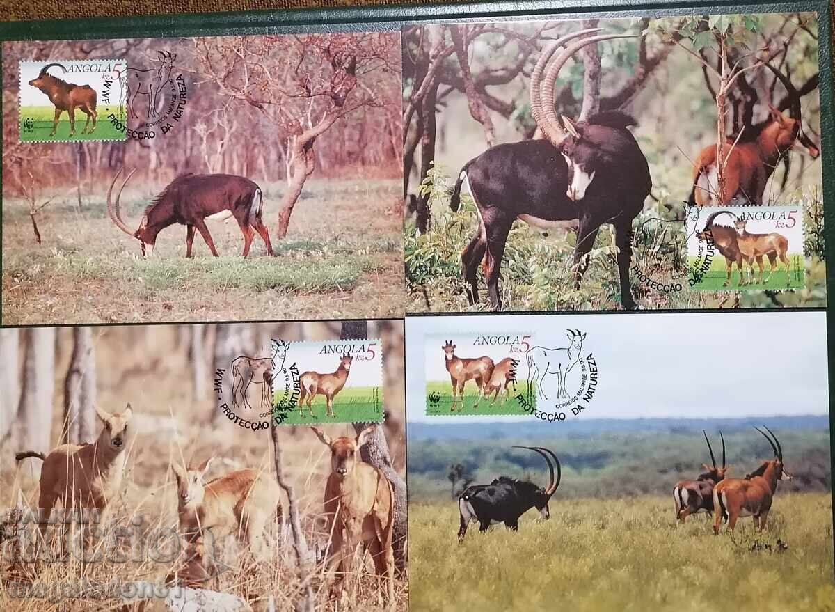 Ангола - WWF, антилопа Ангола - WWF, антилопа