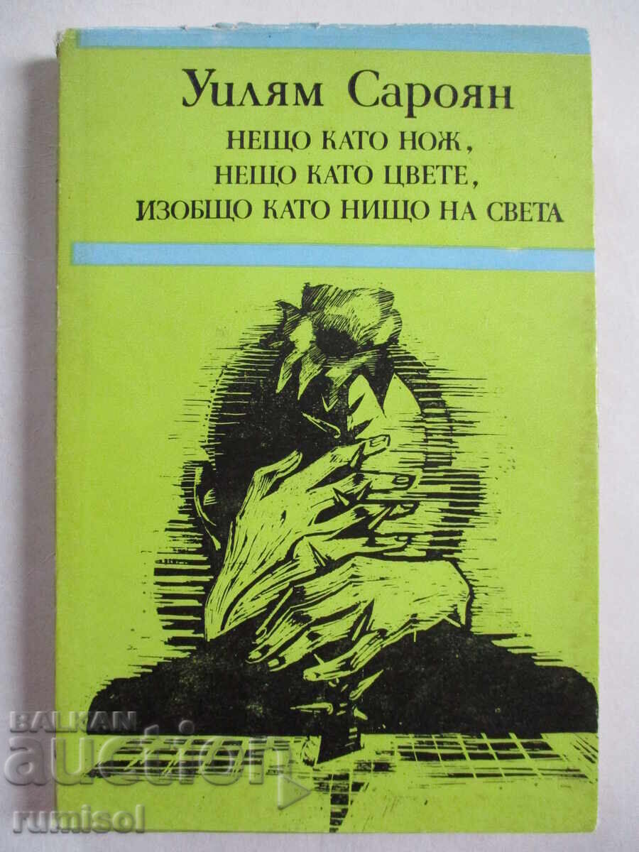 Κάτι σαν μαχαίρι, κάτι σαν λουλούδι, τίποτα απολύτως