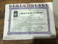 Certificat de inmatriculare 1945 Kyustendil