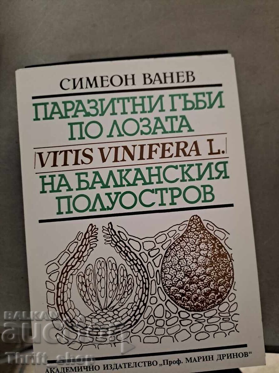 Паразитни гъби по лозата на Балканския полуостров