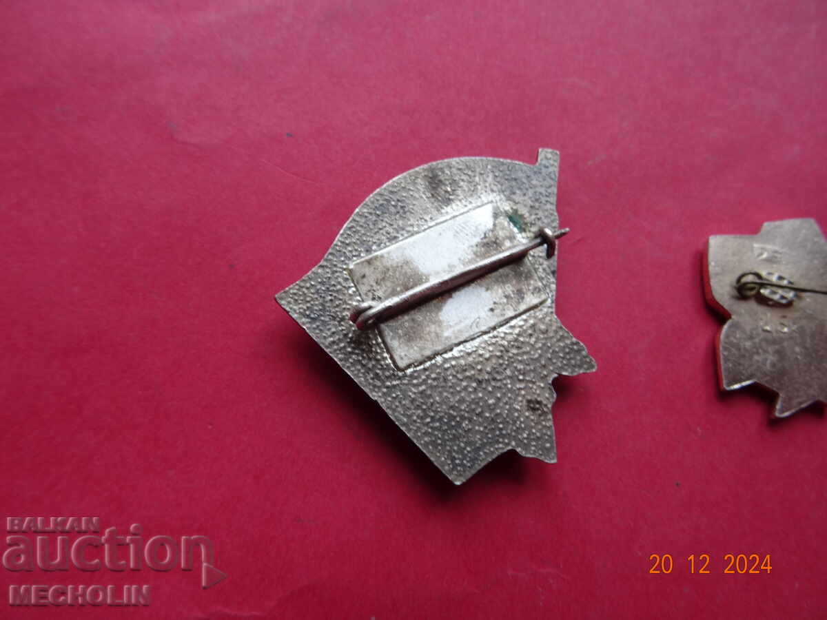 COLLECTIBLE BADGES - 5 COLLECTIBLE BADGES - 5