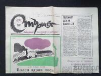Ziarul STARSHEL 1985