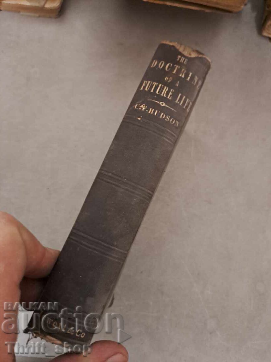 Auction  Debt and grace, as related to the doctrine of a future life