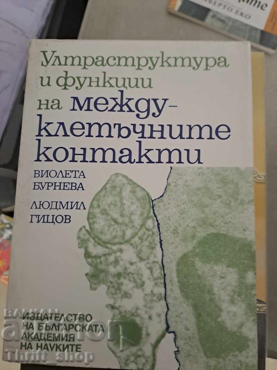 Ултраструктура и функции на междуклетъчните контакти