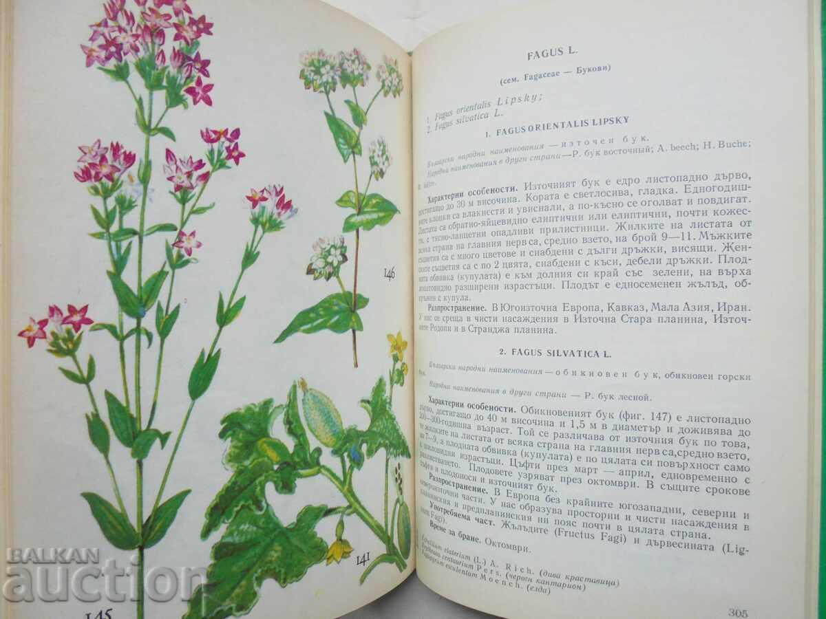 Our medicinal plants. Part 1 Neno Stoyanov 1972 with price 15.00 BGN | € 7.67 Our medicinal plants. Part 1 Neno Stoyanov 1972 with price 15.00 BGN | € 7.67