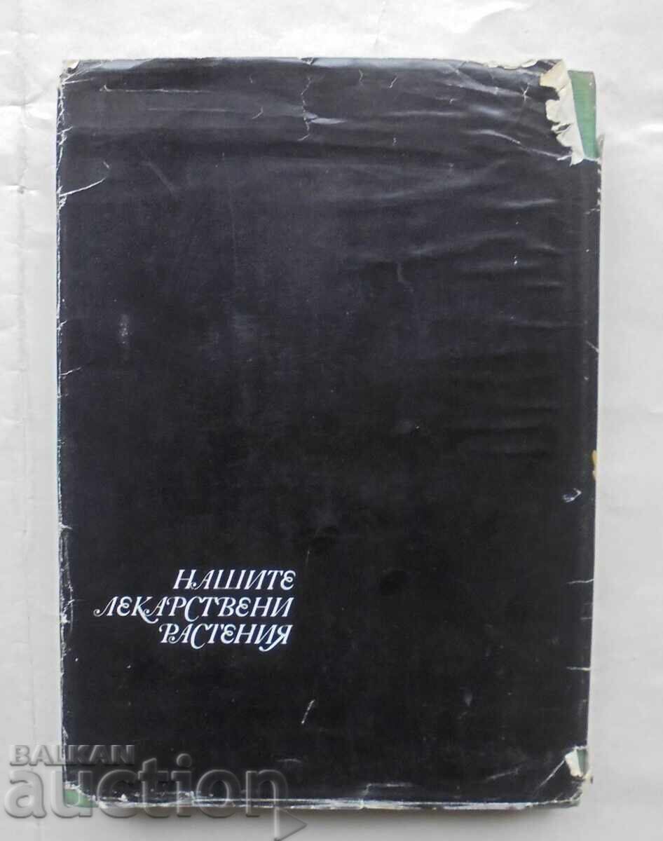 Our medicinal plants. Part 1 Neno Stoyanov 1972 - 5 Our medicinal plants. Part 1 Neno Stoyanov 1972 - 5