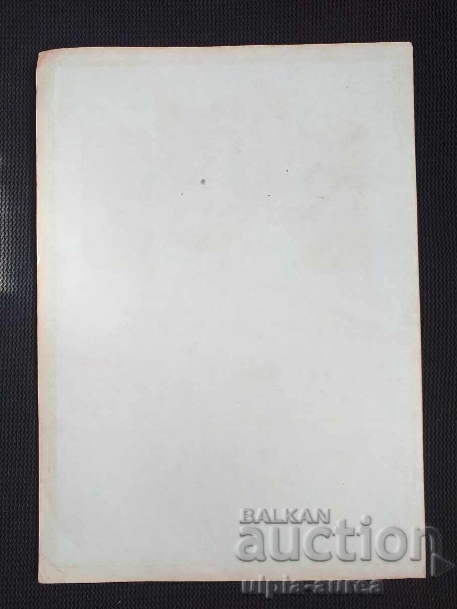 Social Certificate with price 4.50 BGN | € 2.30 Social Certificate with price 4.50 BGN | € 2.30