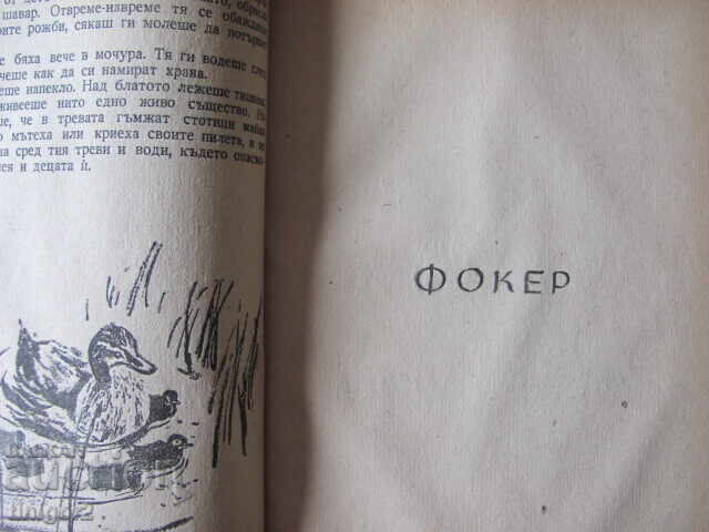 1950. Blackberry, Emilian Stanev - 5