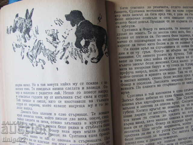 1950. Blackberry, Emilian Stanev - 6