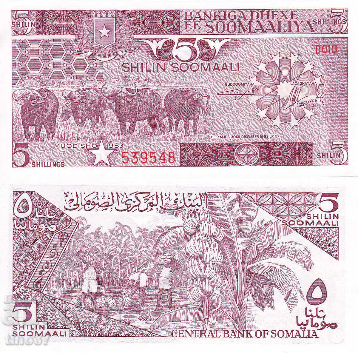 tino37- SOMALIA - 5 SHILLINGS - 1983 - UNC