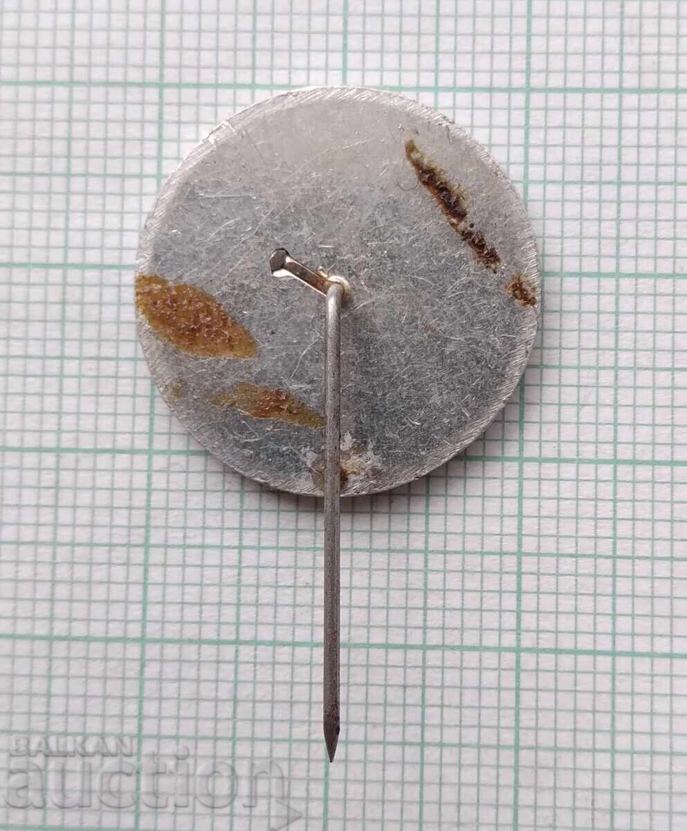 Auction 17198 Badge - April Uprising April 1876 Auction 17198 Badge - April Uprising April 1876