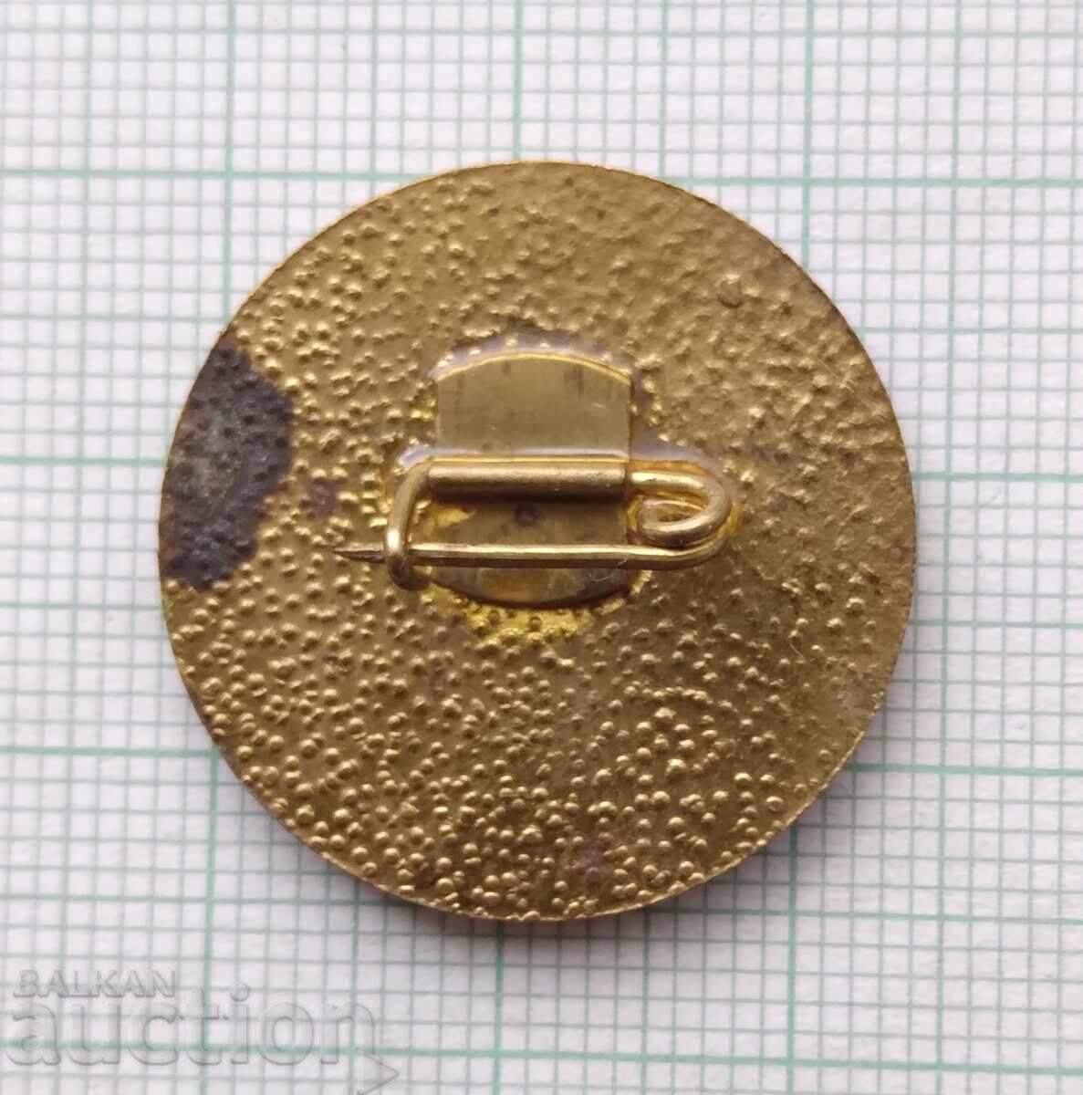 Auction  17216 Badge - Raina Princess