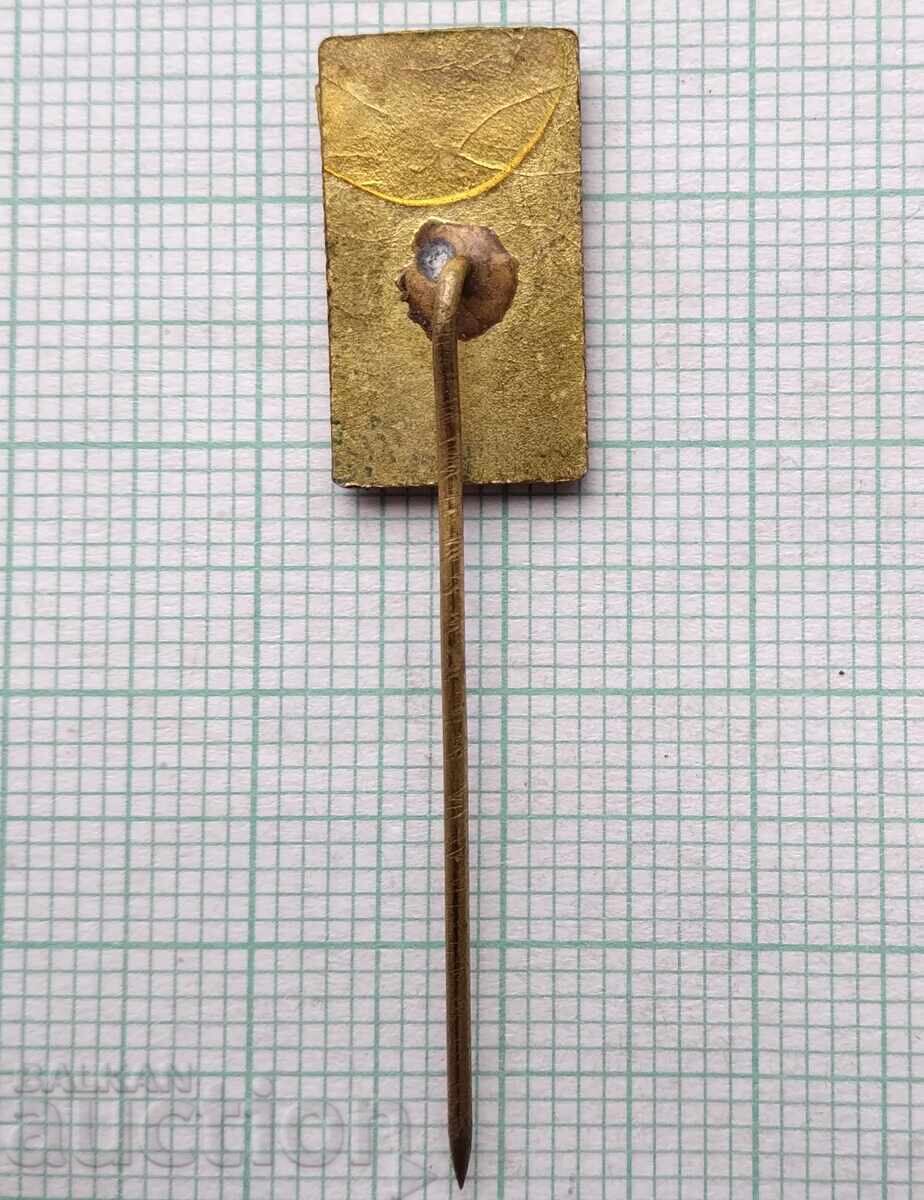 Auction  17221 Badge - Bulgarian Ski Federation